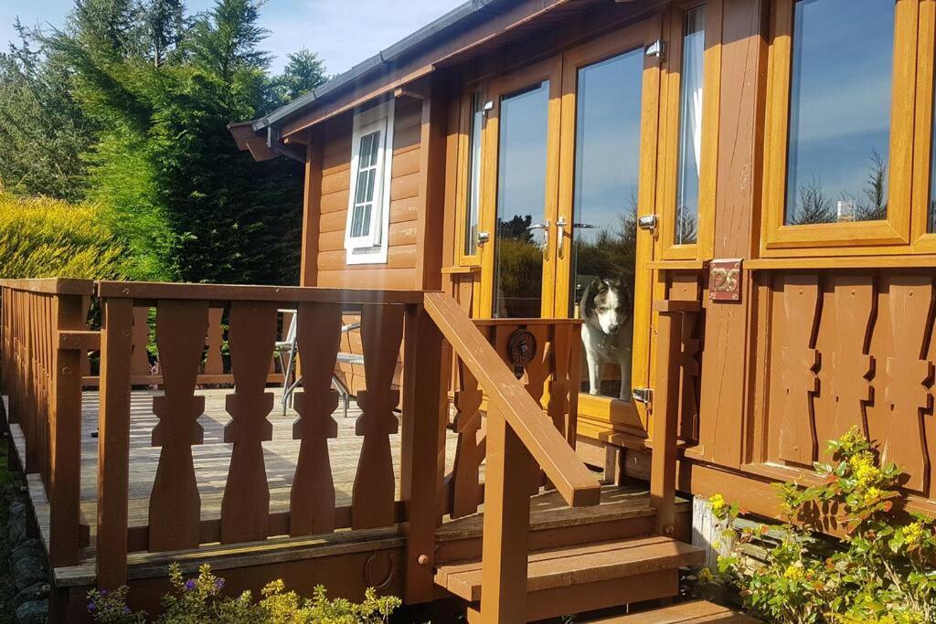 Cabin Apartment Trawsfynydd Exterior foto